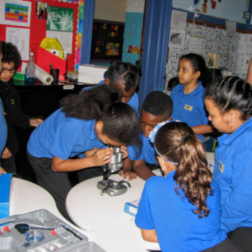 students with microscope