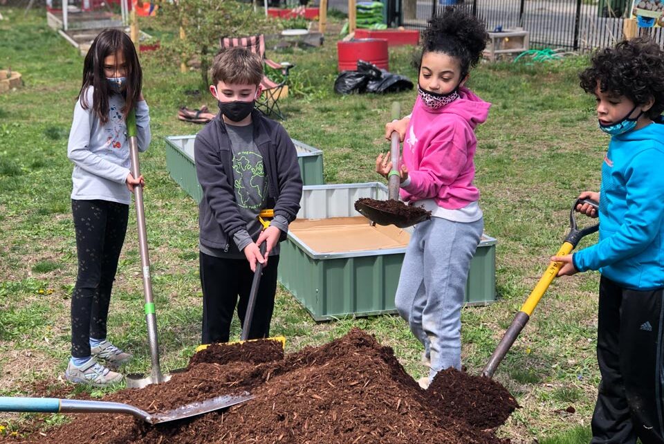 Four children digging in community garden